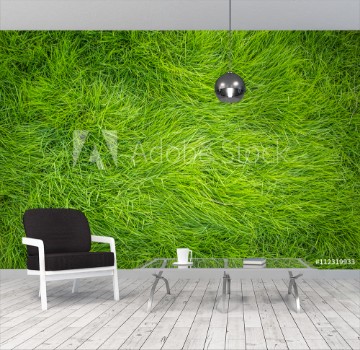 Picture of Green grass Grass top view